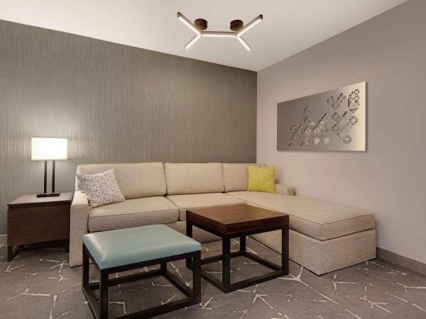 Embassy Suites by Hilton Atlanta Perimeter Center : photo 3 de la chambre suite 2 pièces avec lit king-size - non-fumeurs