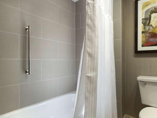 DoubleTree Suites by Hilton Nashville Airport : photo 1 de la chambre suite deluxe avec lit king-size