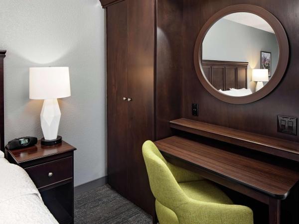 Hampton Inn & Suites Houston-Medical Center-NRG Park : photo 2 de la chambre chambre lit king-size