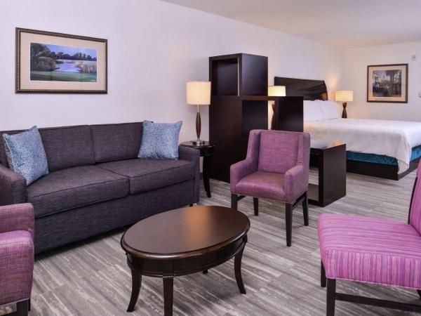 Hilton Garden Inn Jacksonville Downtown Southbank : photo 1 de la chambre suite junior lit king-size