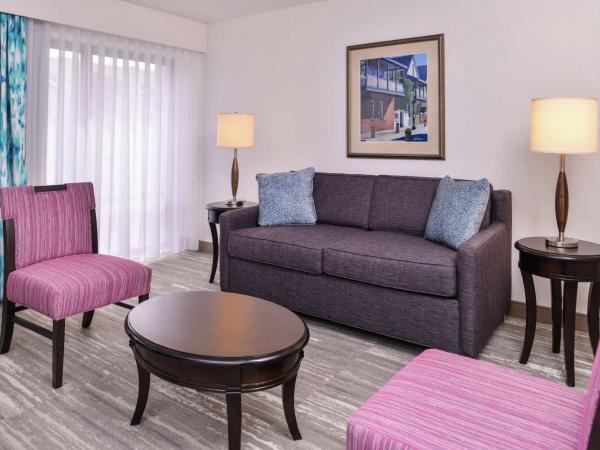 Hilton Garden Inn Jacksonville Downtown Southbank : photo 2 de la chambre suite avec 2 lits queen-size - adaptée aux personnes malentendantes