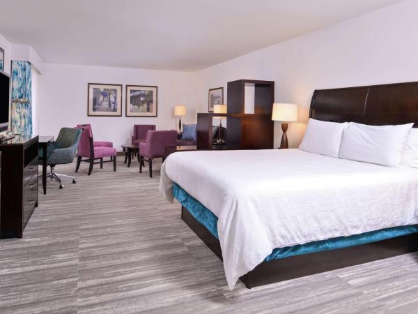 Hilton Garden Inn Jacksonville Downtown Southbank : photo 3 de la chambre suite junior lit king-size