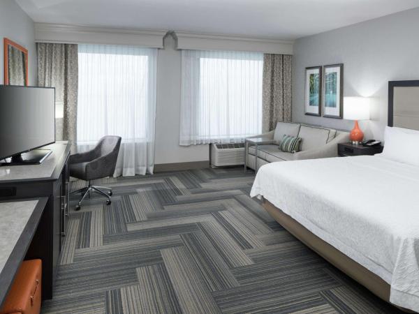Hampton Inn & Suites by Hilton Atlanta Perimeter Dunwoody : photo 1 de la chambre king room with sofa bed - mobility access/non-smoking