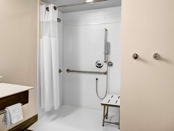 Hampton Inn & Suites by Hilton Atlanta Perimeter Dunwoody : photo 4 de la chambre suite studio lit king-size avec canapé-lit - adaptée aux personnes malentendantes - non-fumeurs