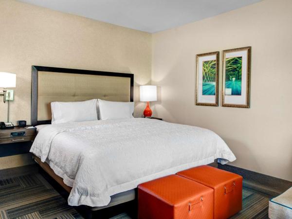 Hampton Inn & Suites by Hilton Atlanta Perimeter Dunwoody : photo 2 de la chambre chambre lit king-size - adaptée aux personnes malentendantes - non-fumeurs
