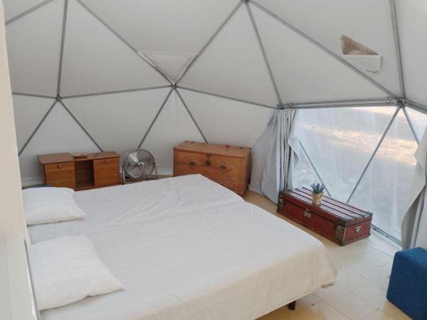 Forest Domes : photo 10 de la chambre tente