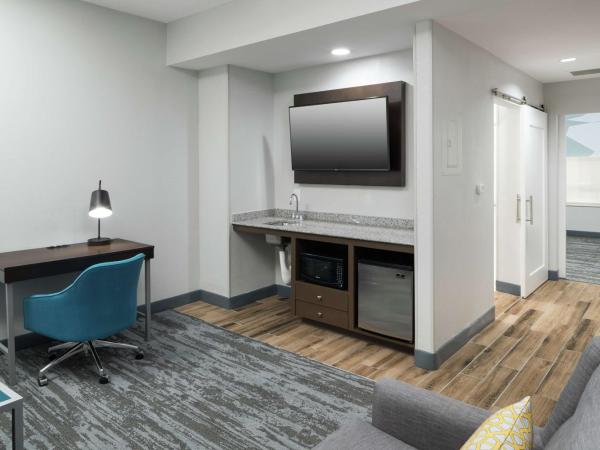 Hampton Inn & Suites Atlanta-Downtown : photo 2 de la chambre suite lit king-size pour personnes à mobilité réduite avec douche accessible en fauteuil roulant - non-fumeurs