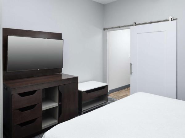 Hampton Inn & Suites Atlanta-Downtown : photo 3 de la chambre suite lit king-size pour personnes à mobilité réduite avec douche accessible en fauteuil roulant - non-fumeurs