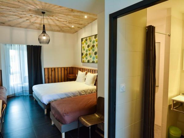 Cit'Hotel Le Relais du Boisniard : photo 4 de la chambre chambre double classique avec douche