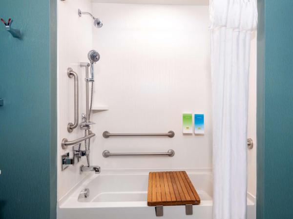 Home2 Suites By Hilton Tampa Downtown Channel District : photo 7 de la chambre studio lit queen-size avec vue sur la piscine et baignoire - accessible aux personnes malentendantes