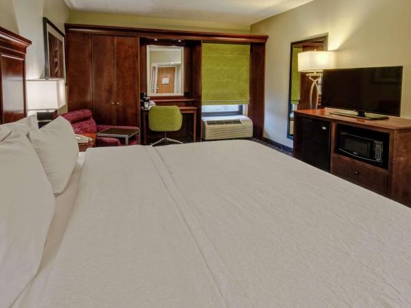 Hampton Inn Charlotte/Matthews : photo 1 de la chambre chambre lit king-size avec four micro-ondes et réfrigérateur - non-fumeurs
