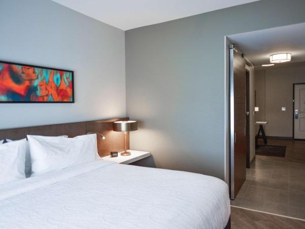 Hilton Garden Inn Louisville Mall Of St. Matthews : photo 4 de la chambre suite junior lit king-size avec canapé-lit