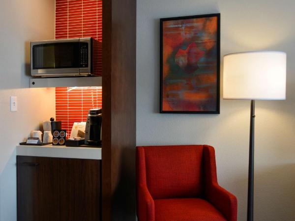 Hilton Garden Inn Louisville Mall Of St. Matthews : photo 3 de la chambre suite junior lit king-size avec canapé-lit