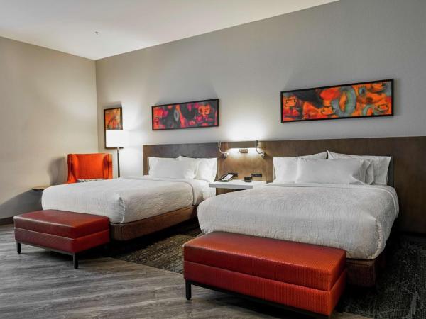 Hilton Garden Inn Louisville Mall Of St. Matthews : photo 1 de la chambre chambre avec 2 lits queen-size - accessible aux personnes à mobilité réduite