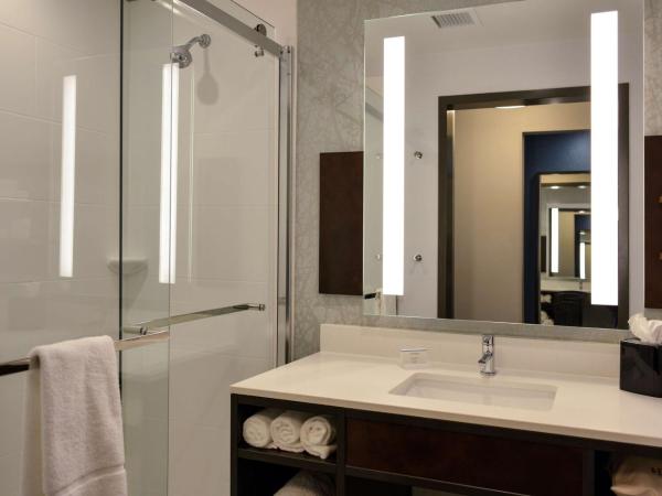 Hilton Garden Inn Louisville Mall Of St. Matthews : photo 9 de la chambre suite junior lit king-size avec canapé-lit