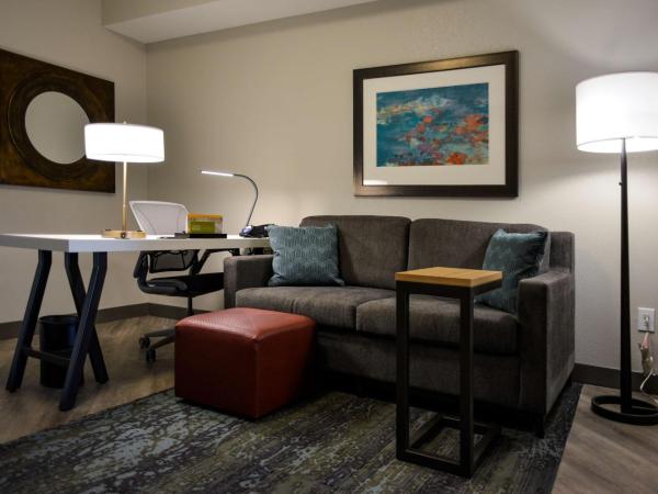 Hilton Garden Inn Louisville Mall Of St. Matthews : photo 6 de la chambre suite junior lit king-size avec canapé-lit
