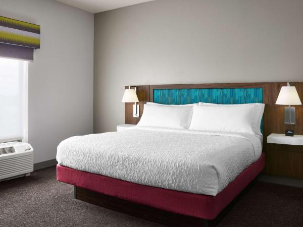 Hampton Inn Indianapolis Northwest - Park 100 : photo 2 de la chambre suite 1 chambre lit king-size avec canapé-lit - non-fumeurs
