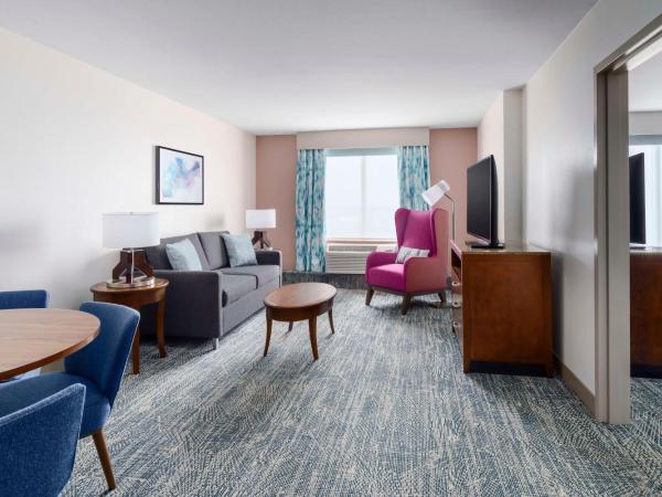 Hilton Garden Inn Orlando at SeaWorld : photo 1 de la chambre suite 1 chambre lit queen-size avec canapé-lit