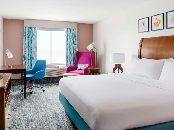 Hilton Garden Inn Orlando at SeaWorld : photo 1 de la chambre chambre lit king-size