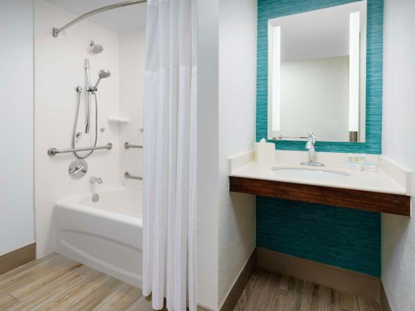 Hilton Garden Inn Orlando at SeaWorld : photo 4 de la chambre chambre lit king-size avec baignoire - accessible aux personnes à mobilité réduite et adaptée aux personnes malentendantes