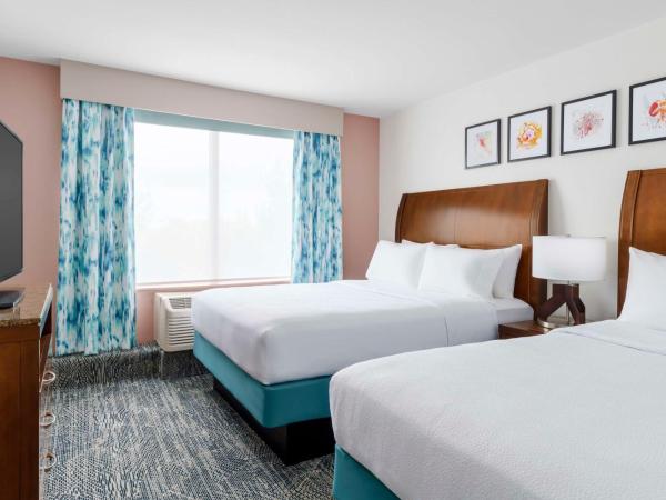 Hilton Garden Inn Orlando at SeaWorld : photo 3 de la chambre suite 1 chambre lit queen-size avec canapé-lit