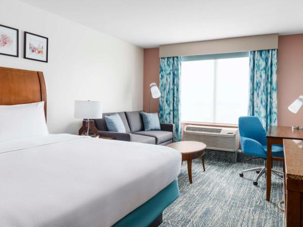 Hilton Garden Inn Orlando at SeaWorld : photo 2 de la chambre chambre lit king-size avec canapé-lit