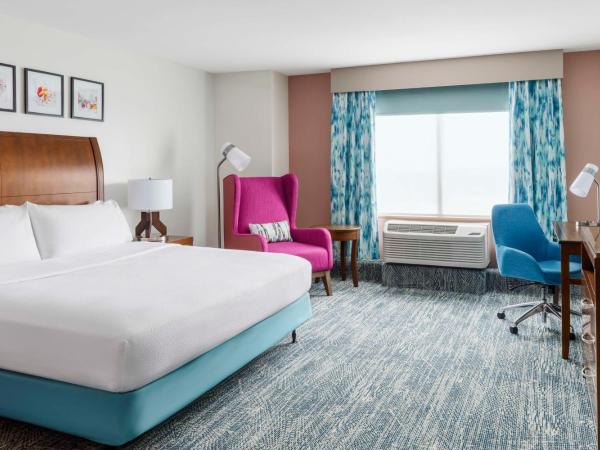 Hilton Garden Inn Orlando at SeaWorld : photo 3 de la chambre chambre lit king-size avec baignoire - accessible aux personnes à mobilité réduite et adaptée aux personnes malentendantes