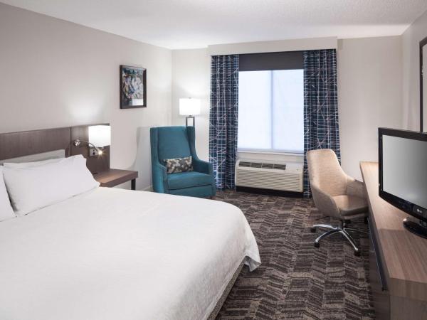 Hilton Garden Inn Savannah Airport : photo 2 de la chambre chambre lit king-size