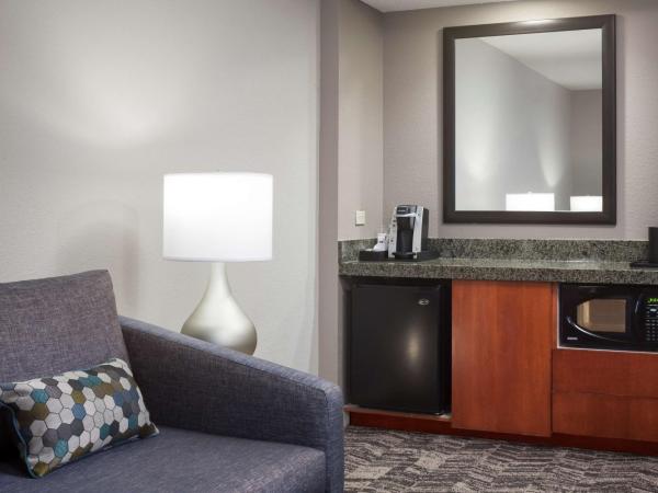 Hilton Garden Inn Savannah Airport : photo 2 de la chambre suite lit king-size avec jacuzzi