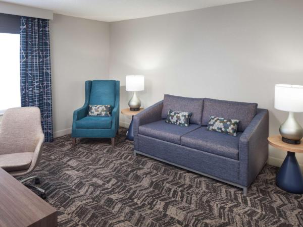 Hilton Garden Inn Savannah Airport : photo 3 de la chambre suite lit king-size avec jacuzzi