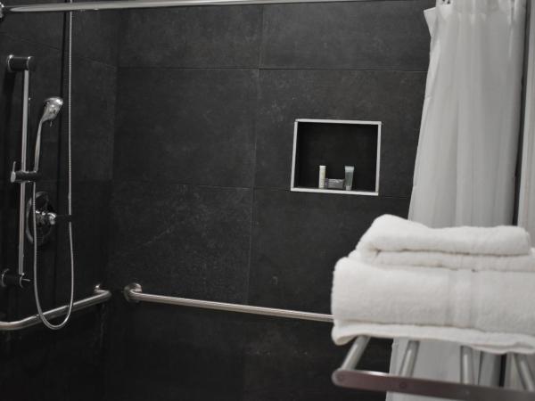 Blue Star Inn : photo 6 de la chambre chambre lit queen-size - accessible aux personnes à mobilité réduite