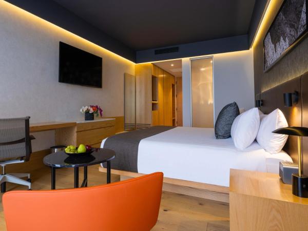 Galeria Plaza Monterrey : photo 2 de la chambre chambre deluxe