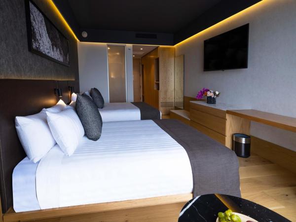 Galeria Plaza Monterrey : photo 8 de la chambre chambre double deluxe