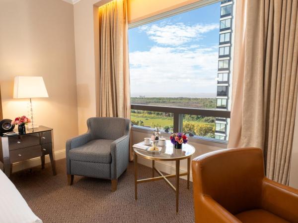 Alvear Icon Hotel : photo 9 de la chambre chambre double ou lits jumeaux deluxe - vue sur ville