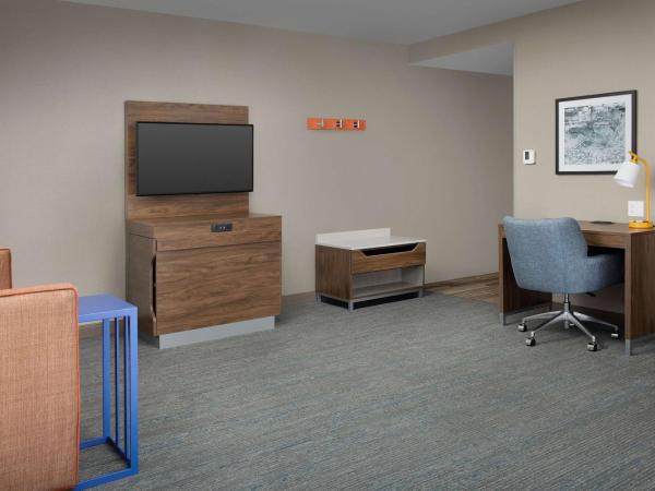 Hampton Inn Baltimore-Downtown-Convention Center : photo 1 de la chambre suite studio avec 2 lits queen-size et canapé-lit - non-fumeurs