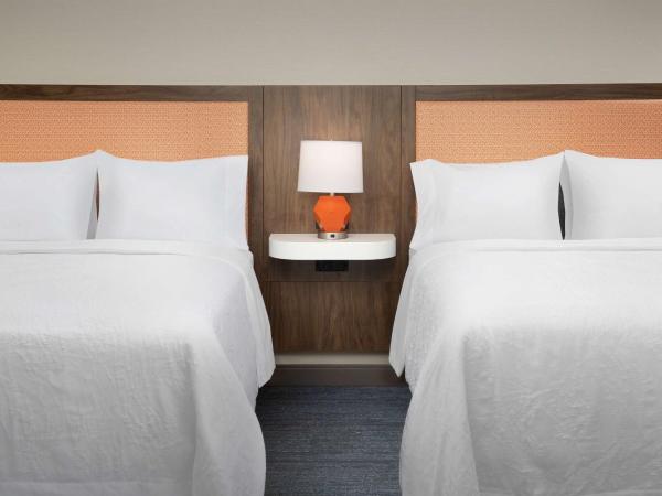 Hampton Inn Baltimore-Downtown-Convention Center : photo 3 de la chambre chambre 2 lits queen-size - non-fumeurs