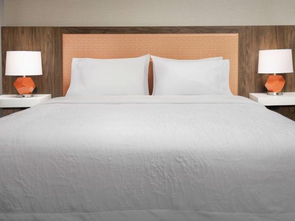 Hampton Inn Baltimore-Downtown-Convention Center : photo 4 de la chambre chambre lit king-size - non-fumeurs