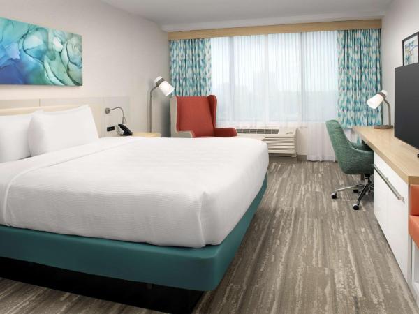 Hilton Garden Inn Orlando Downtown : photo 2 de la chambre chambre lit king-size