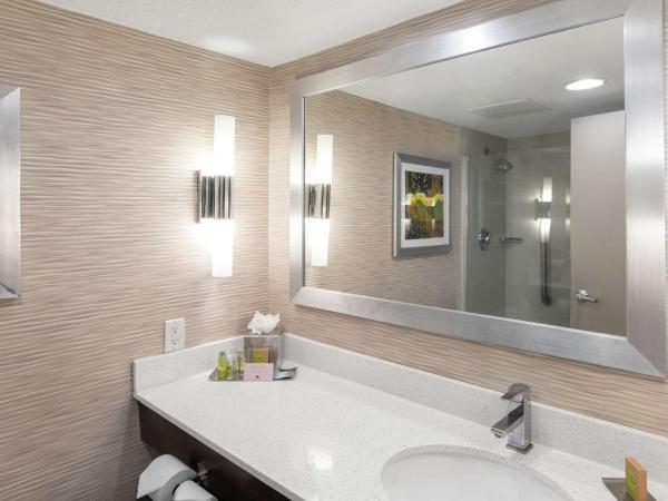 DoubleTree by Hilton Hotel Jacksonville Airport : photo 4 de la chambre chambre lit king-size - pour personnes malentendantes