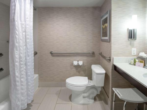 DoubleTree by Hilton Hotel Jacksonville Airport : photo 7 de la chambre chambre lit king-size avec baignoire accessible aux personnes à mobilité réduite