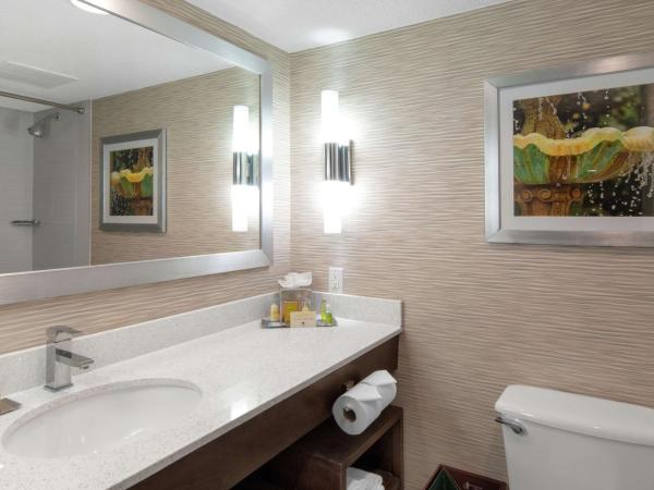 DoubleTree by Hilton Hotel Jacksonville Airport : photo 9 de la chambre suite deluxe avec lit king-size