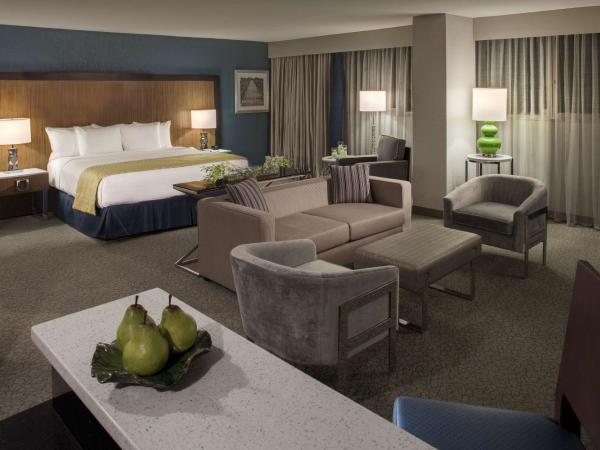 DoubleTree by Hilton Hotel Jacksonville Airport : photo 3 de la chambre suite studio de luxe avec lit king-size