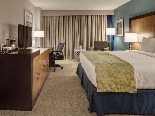 DoubleTree by Hilton Hotel Jacksonville Airport : photo 3 de la chambre chambre lit king-size