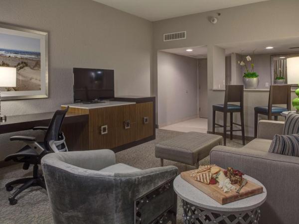 DoubleTree by Hilton Hotel Jacksonville Airport : photo 3 de la chambre suite 1 chambre lit king-size