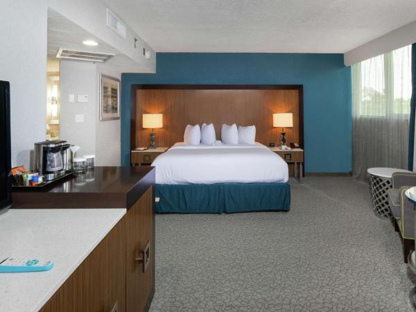 DoubleTree by Hilton Hotel Jacksonville Airport : photo 3 de la chambre suite studio lit king-size