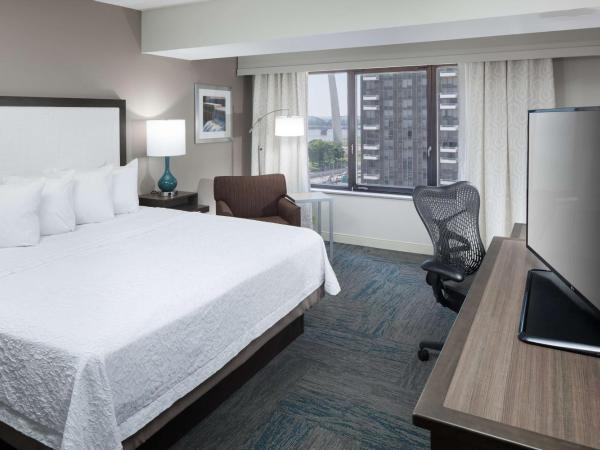 Hampton Inn St Louis- at the Arch : photo 2 de la chambre chambre king - vue sur l'arche