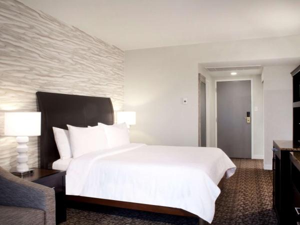 Hilton Garden Inn Austin Downtown-Convention Center : photo 6 de la chambre chambre lit king-size