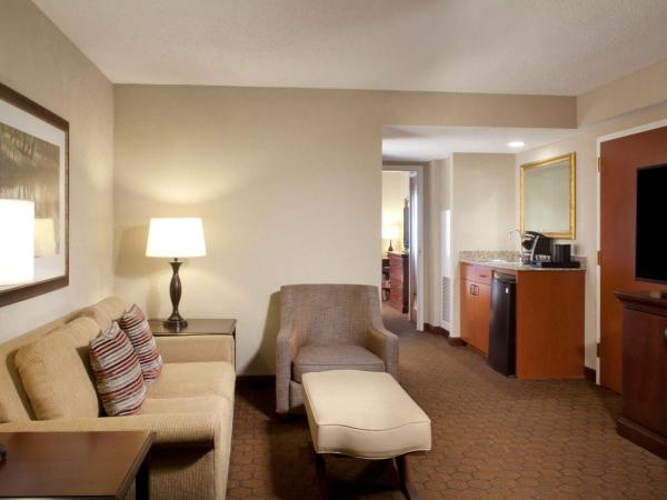 Embassy Suites by Hilton Dallas Near the Galleria : photo 4 de la chambre suite lit king-size