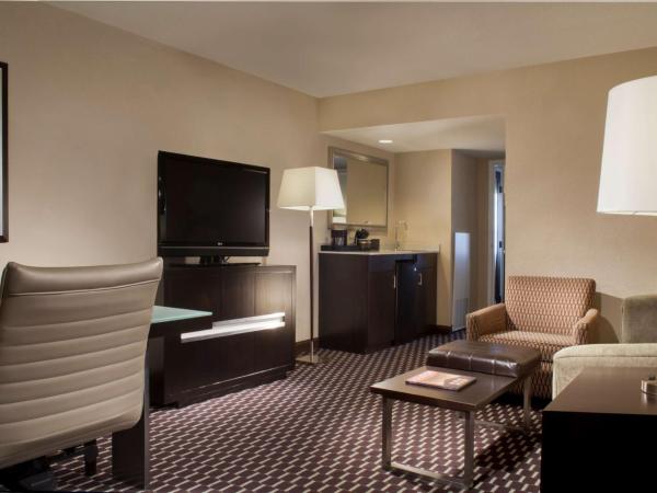 Embassy Suites by Hilton Houston Near the Galleria : photo 1 de la chambre suite 2 pièces avec lit king-size - non-fumeurs