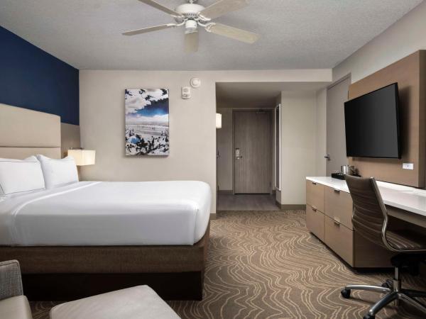 Hilton Virginia Beach Oceanfront : photo 1 de la chambre chambre lit king-size avec baignoire - accessible aux personnes à mobilité réduite